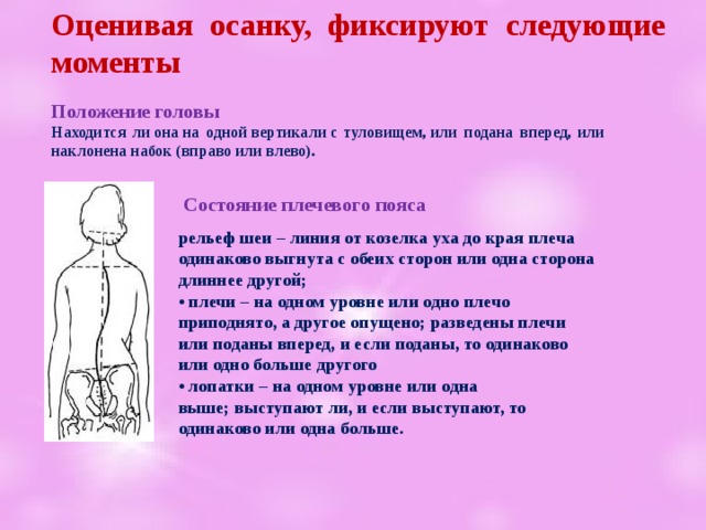 Оценивая осанку, фиксируют следующие моменты Положение головы Находится ли она на одной вертикали с туловищем, или подана вперед, или наклонена набок (вправо или влево).  Состояние плечевого пояса рельеф шеи – линия от козелка уха до края плеча одинаково выгнута с обеих сторон или одна сторона длиннее другой;  • плечи – на одном уровне или одно плечо приподнято, а другое опущено; разведены плечи или поданы вперед, и если поданы, то одинаково или одно больше другого  • лопатки – на одном уровне или одна выше; выступают ли, и если выступают, то одинаково или одна больше. 