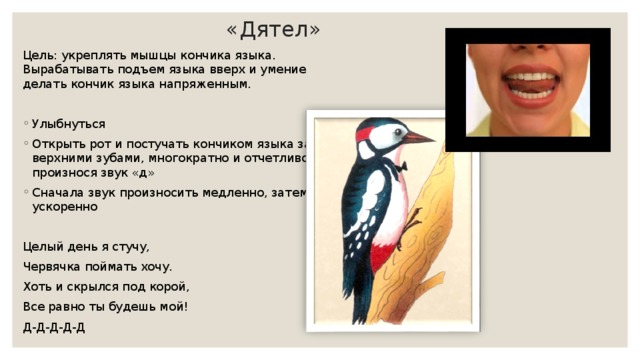 Дятел звуковая схема