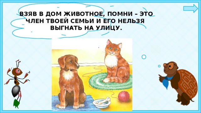 ВЗЯВ В ДОМ ЖИВОТНОЕ, ПОМНИ – ЭТО ЧЛЕН ТВОЕЙ СЕМЬИ И ЕГО НЕЛЬЗЯ ВЫГНАТЬ НА УЛИЦУ. 