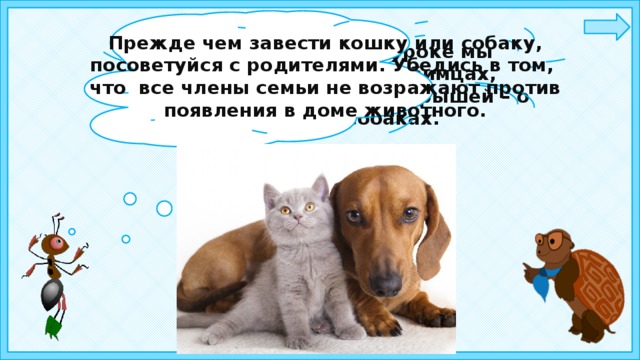 Прежде чем завести кошку или собаку, посоветуйся с родителями. Убедись в том, что все члены семьи не возражают против появления в доме животного. Ребята, сегодня на уроке мы будем говорить о любимцах, живущих с нами одной крышей – о кошках и собаках.   