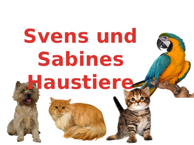 Svens und Sabines Haustiere 
