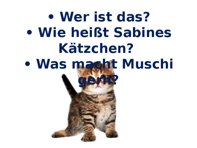 • Wer ist das? • Wie heißt Sabines Kätzchen? • Was macht Muschi gern? 
