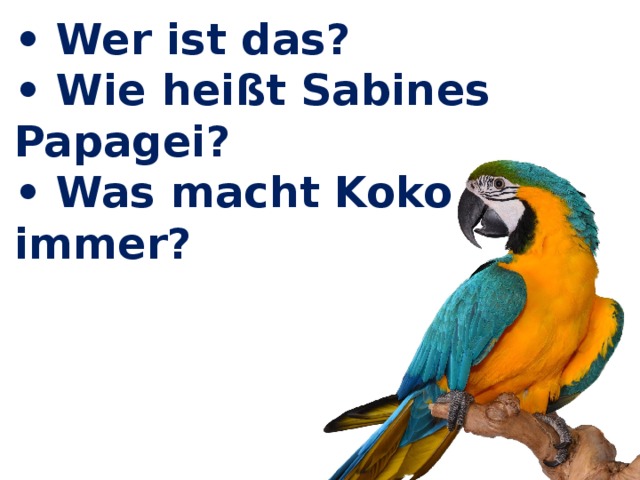 • Wer ist das? • Wie heißt Sabines Papagei? • Was macht Koko immer? 