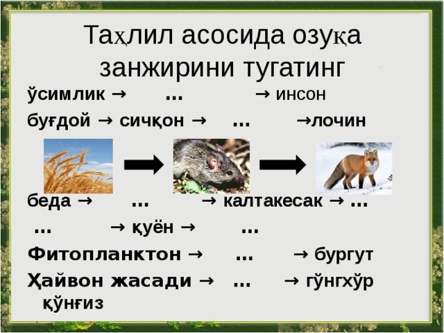 Составьте схему пищевых цепей начинающихся с фитопланктона