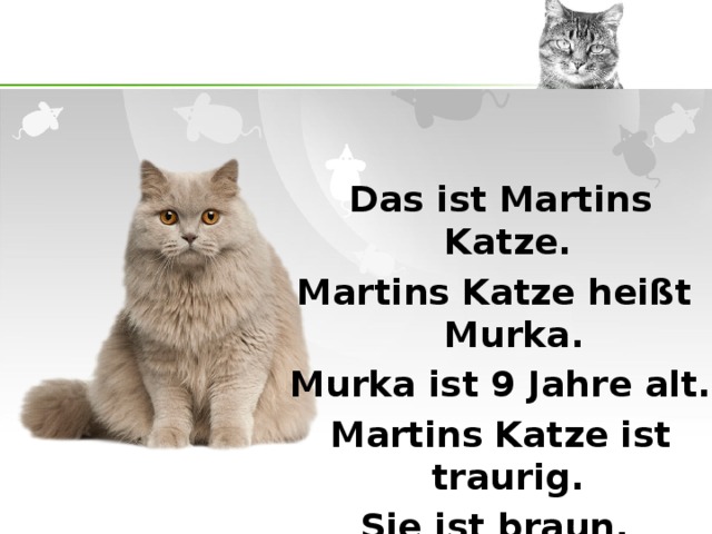 Das ist Martins Katze. Martins Katze heißt Murka. Murka ist 9 Jahre alt. Martins Katze ist traurig. Sie ist braun. 