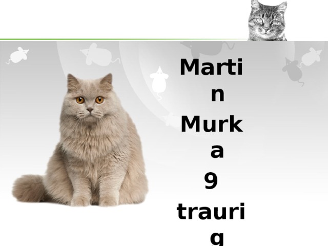 Martin Murka 9 traurig braun 