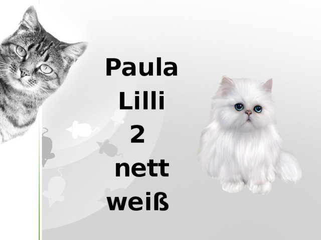 Paula Lilli 2 nett weiß 