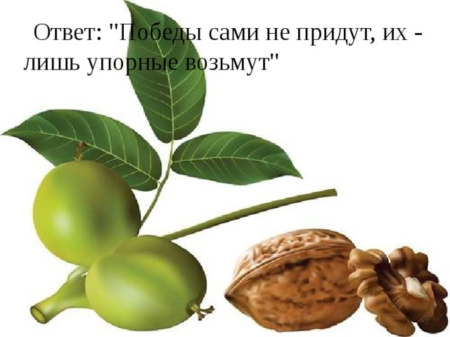 День грецкого ореха 17 мая картинки поздравления