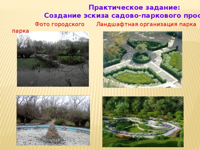  Практическое задание:  Создание эскиза садово-паркового пространства   Фото городского парка  Ландшафтная организация парка 