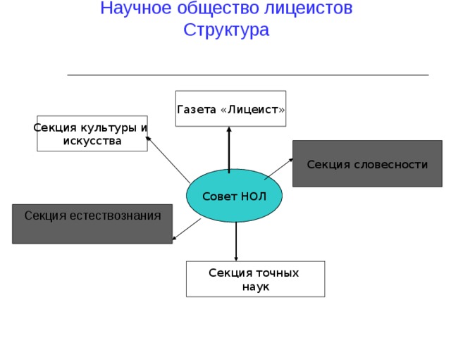 Научное общество лицеистов  Структура Газета «Лицеист» Секция культуры и искусства Секция словесности Совет НОЛ Секция естествознания Секция точных наук 