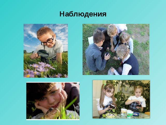 Наблюдения 
