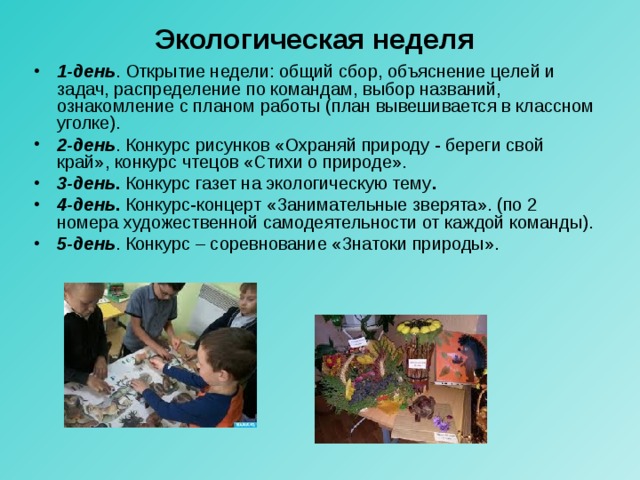 Экологическая неделя 1-день . Открытие недели: общий сбор, объяснение целей и задач, распределение по командам, выбор названий, ознакомление с планом работы (план вывешивается в классном уголке). 2-день . Конкурс рисунков «Охраняй природу - береги свой край», конкурс чтецов «Стихи о природе». 3-день . Конкурс газет на экологическую тему . 4-день . Конкурс-концерт «Занимательные зверята». (по 2 номера художественной самодеятельности от каждой команды). 5-день . Конкурс – соревнование «Знатоки природы». 