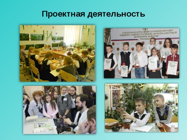 Проектная деятельность 
