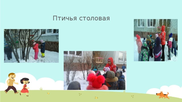  Птичья столовая 