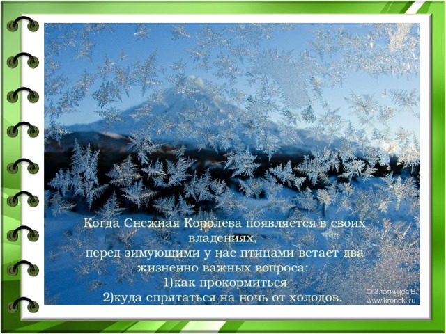 Когда Снежная Королева появляется в своих владениях, перед зимующими у нас птицами встает два жизненно важных вопроса: как прокормиться куда спрятаться на ночь от холодов. 