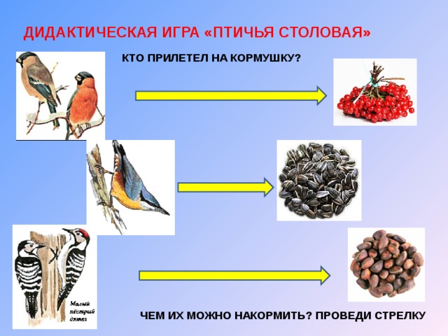 ДИДАКТИЧЕСКАЯ ИГРА «ПТИЧЬЯ СТОЛОВАЯ» КТО ПРИЛЕТЕЛ НА КОРМУШКУ? ЧЕМ ИХ МОЖНО НАКОРМИТЬ? ПРОВЕДИ СТРЕЛКУ 