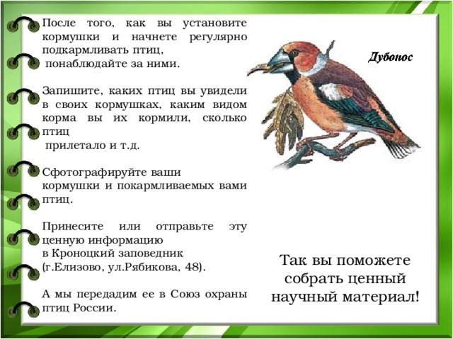 После того, как вы установите кормушки и начнете регулярно подкармливать птиц,  понаблюдайте за ними. Запишите, каких птиц вы увидели в своих кормушках, каким видом корма вы их кормили, сколько птиц  прилетало и т.д. Сфотографируйте ваши кормушки и покармливаемых вами птиц. Принесите или отправьте эту ценную информацию в Кроноцкий заповедник (г.Елизово, ул.Рябикова, 48). А мы передадим ее в Союз охраны птиц России. Так вы поможете собрать ценный научный материал! 