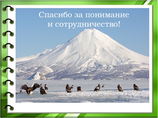 Спасибо за понимание и сотрудничество! 