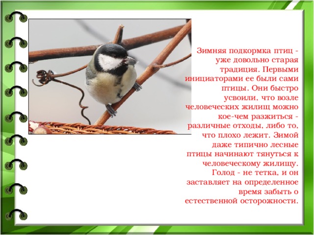 Зимняя подкормка птиц - уже довольно старая традиция. Первыми инициаторами ее были сами птицы. Они быстро усвоили, что возле человеческих жилищ можно кое-чем разжиться - различные отходы, либо то, что плохо лежит. Зимой даже типично лесные птицы начинают тянуться к человеческому жилищу. Голод - не тетка, и он заставляет на определенное время забыть о естественной осторожности. 