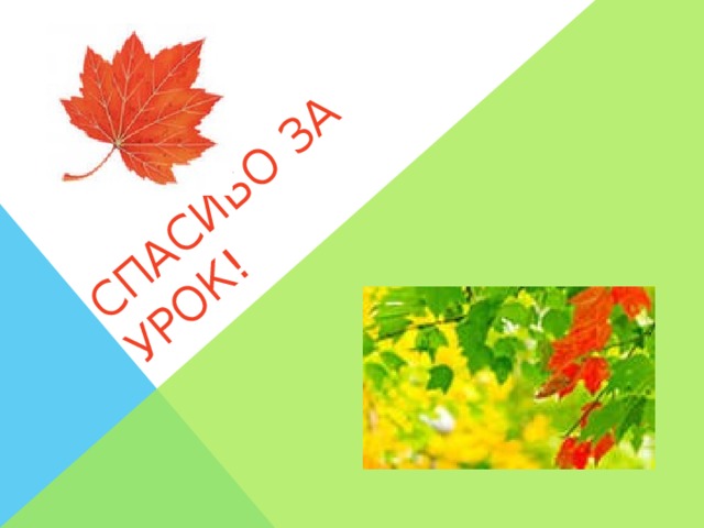 Спасибо за урок!