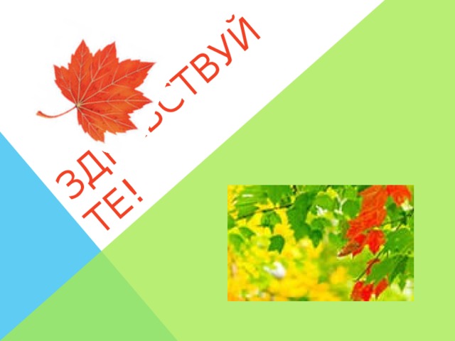 ЗДРАВСТВУЙТЕ!