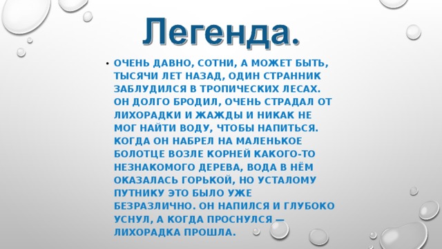 ОЧЕНЬ ДАВНО, СОТНИ, А МОЖЕТ БЫТЬ, ТЫСЯЧИ ЛЕТ НАЗАД, ОДИН СТРАННИК ЗАБЛУДИЛСЯ В ТРОПИЧЕСКИХ ЛЕСАХ. ОН ДОЛГО БРОДИЛ, ОЧЕНЬ СТРАДАЛ ОТ ЛИХОРАДКИ И ЖАЖДЫ И НИКАК НЕ МОГ НАЙТИ ВОДУ, ЧТОБЫ НАПИТЬСЯ. КОГДА ОН НАБРЕЛ НА МАЛЕНЬКОЕ БОЛОТЦЕ ВОЗЛЕ КОРНЕЙ КАКОГО-ТО НЕЗНАКОМОГО ДЕРЕВА, ВОДА В НЁМ ОКАЗАЛАСЬ ГОРЬКОЙ, НО УСТАЛОМУ ПУТНИКУ ЭТО БЫЛО УЖЕ БЕЗРАЗЛИЧНО. ОН НАПИЛСЯ И ГЛУБОКО УСНУЛ, А КОГДА ПРОСНУЛСЯ — ЛИХОРАДКА ПРОШЛА. 