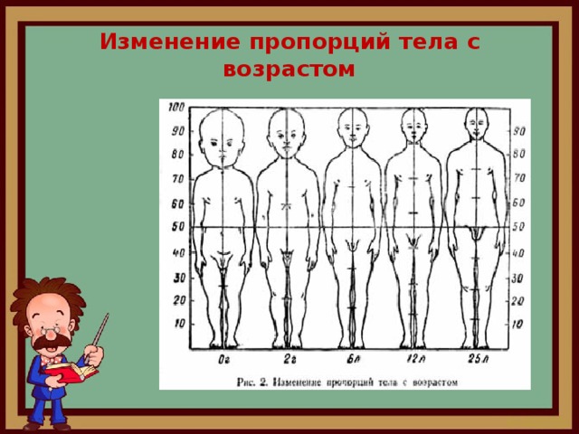 Как изменить пропорции изображения