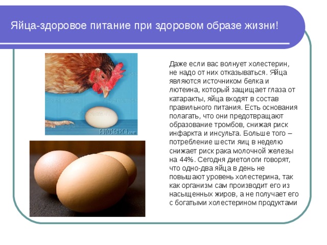 Яйца-здоровое питание при здоровом образе жизни! Даже если вас волнует холестерин, не надо от них отказываться. Яйца являются источником белка и лютеина, который защищает глаза от катаракты, яйца входят в состав правильного питания. Есть основания полагать, что они предотвращают образование тромбов, снижая риск инфаркта и инсульта. Больше того – потребление шести яиц в неделю снижает риск рака молочной железы на 44%. Сегодня диетологи говорят, что одно-два яйца в день не повышают уровень холестерина, так как организм сам производит его из насыщенных жиров, а не получает его с богатыми холестерином продуктами  