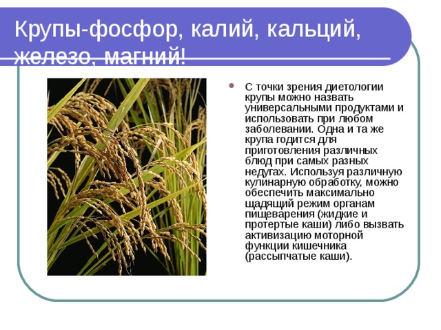 Крупы-фосфор, калий, кальций, железо, магний! С точки зрения диетологии крупы можно назвать универсальными продуктами и использовать при любом заболевании. Одна и та же крупа годится для приготовления различных блюд при самых разных недугах. Используя различную кулинарную обработку, можно обеспечить максимально щадящий режим органам пищеварения (жидкие и протертые каши) либо вызвать активизацию моторной функции кишечника (рассыпчатые каши). 