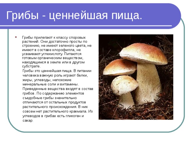Грибы - ценнейшая пища. Грибы прилегают к классу споровых растений. Они достаточно просты по строению, не имеют зеленого цвета, не имеют в составе хлорофилла, не усваивают углекислоту. Питаются готовым органическим веществом, находящимся в земле или в другом субстрате. Грибы это ценнейшая пища. В питании человека важную роль играют белки, жиры, углеводы, непохожие минеральные соли и витамины. Приведенные вещества входят в состав грибов. По содержанию элементов съедобные грибы значительно отличаются от остальных продуктов растительного происхождения. В них совсем нет растительного крахмала. Из углеводов в грибах есть гликоген и сахар . 