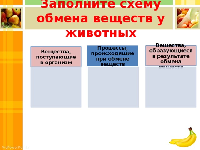 Заполните схему обмена веществ у животных Вещества, образующиеся в результате обмена веществ Процессы, происходящие при обмене веществ Вещества, поступающие в организм 