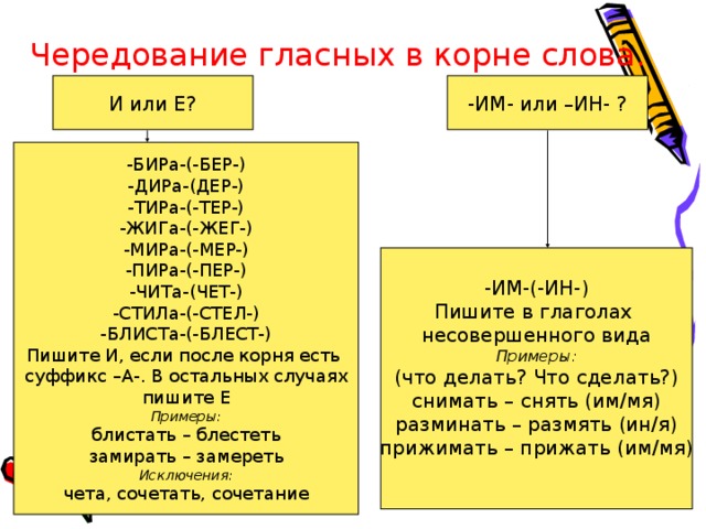 Спор корень