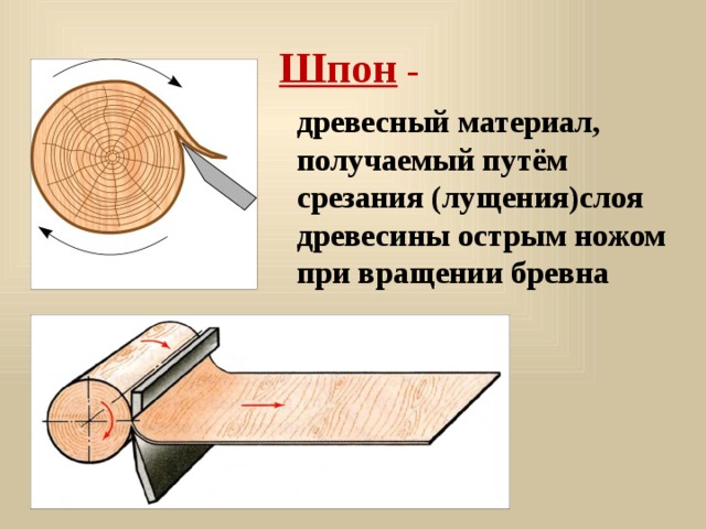 Шпон - древесный материал, получаемый путём срезания (лущения)слоя древесины острым ножом при вращении бревна 