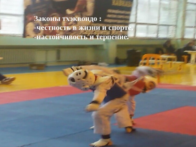 Законы тхэквондо : -честность в жизни и спорте, -настойчивость и терпение. Название презентации Автор шаблона: Ранько Елена Алексеевна учитель начальных классов МАОУ лицей №21 г. Иваново  