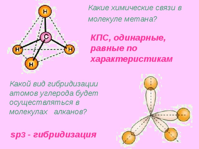 Какие химические связи в молекуле метана?  КПС, одинарные,  равные по характеристикам  Какой вид гибридизации атомов углерода будет осуществляться в молекулах алканов? sp 3 - гибридизация 