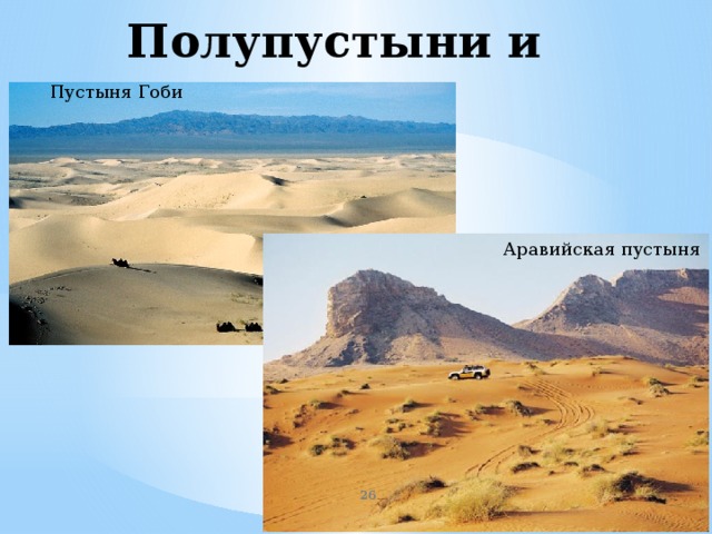 Полупустыни и пустыни Пустыня Гоби Аравийская пустыня  
