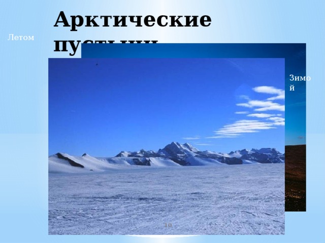 Арктические пустыни Летом Зимой  