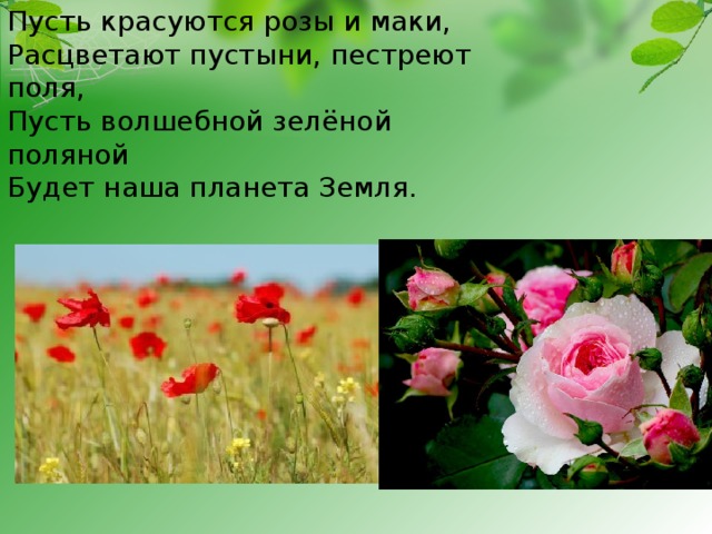 Пусть красуются розы и маки,   Расцветают пустыни, пестреют поля,  Пусть волшебной зелёной поляной   Будет наша планета Земля. 