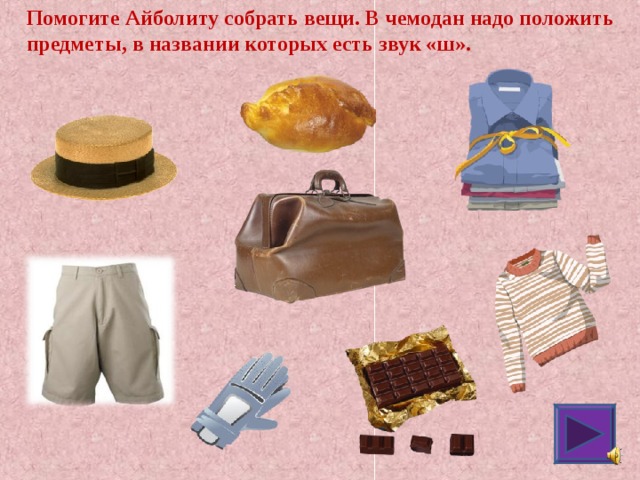 Помогите Айболиту собрать вещи. В чемодан надо положить предметы, в названии которых есть звук «ш». 