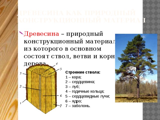 Виды и свойства конструкционных материалов древесина 5. Дерево конструкционный материал. Природные материалы древесина. Древесина как природный конструкционный материал. Строение ствола дерева 5 класс.