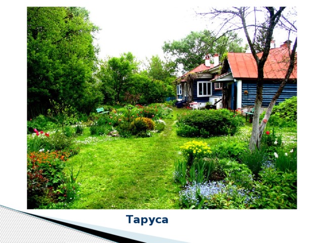 Таруса  