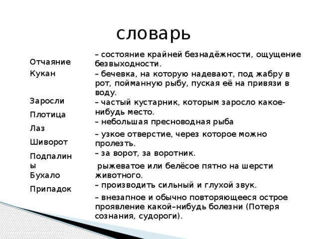словарь – состояние крайней безнадёжности, ощущение безвыходности. – бечевка, на которую надевают, под жабру в рот, пойманную рыбу, пуская её на привязи в воду. – частый кустарник, которым заросло какое- нибудь место. – небольшая пресноводная рыба – узкое отверстие, через которое можно пролезть. – за ворот, за воротник.  рыжеватое или белёсое пятно на шерсти животного. – производить сильный и глухой звук. – внезапное и обычно повторяющееся острое проявление какой–нибудь болезни (Потеря сознания, судороги). Отчаяние Кукан Заросли Плотица Лаз Шиворот Подпалины Бухало Припадок  