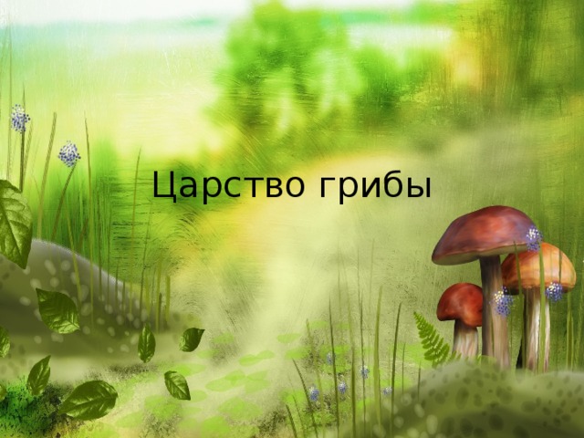 Царство грибы 