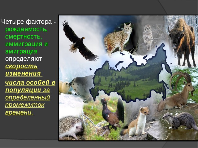  Четыре фактора - рождаемость, смертность, иммиграция и эмиграция определяют скорость изменения  числа особей в популяции за определенный промежуток времени .   Четыре фактора - рождаемость, смертность, иммиграция и эмиграция определяют скорость изменения  числа особей в популяции за определенный промежуток времени .   