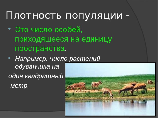 Плотность популяции - Это число особей, приходящееся на единицу пространства .  Например: число растений одуванчика на один квадратный  метр. 