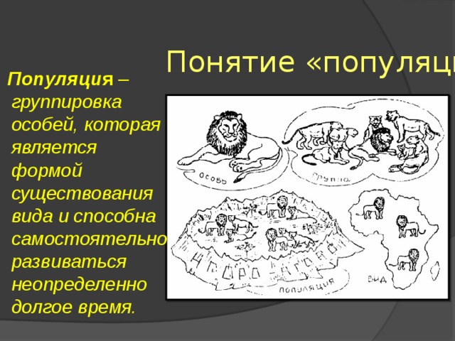 Понятие «популяция»  Популяци я – группировка особей, которая является формой существования вида и способна самостоятельно развиваться неопределенно долгое время. 