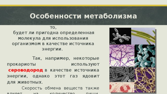 Особенности метаболизма Особенности метаболизма влияют на то,  будет ли пригодна определенная молекула для использования организмом в качестве источника энергии.  Так, например, некоторые прокариоты  используют   сероводород  в качестве источника энергии, однако этот газ ядовит для животных.  Скорость обмена веществ также влияет на количество пищи, необходимой для организма.  