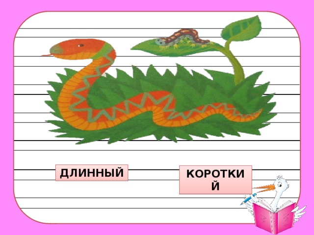 ДЛИННЫЙ КОРОТКИЙ 