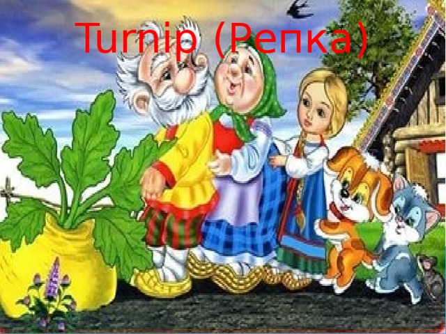 Turnip ( Репка) 