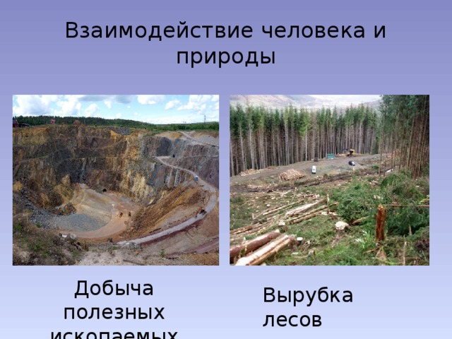 Рубка леса добыча полезных ископаемых схема предложения